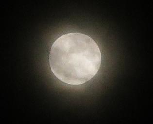e0130185_2017532.jpg