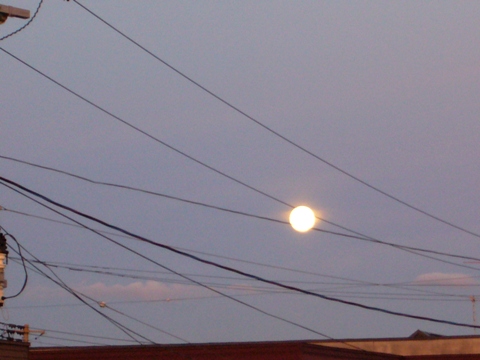 f0079085_22505875.jpg