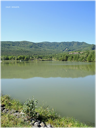 e0138787_1702938.jpg