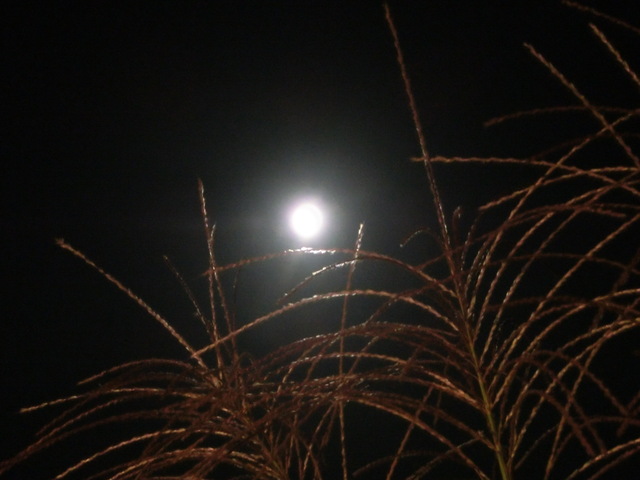 b0203588_21133388.jpg