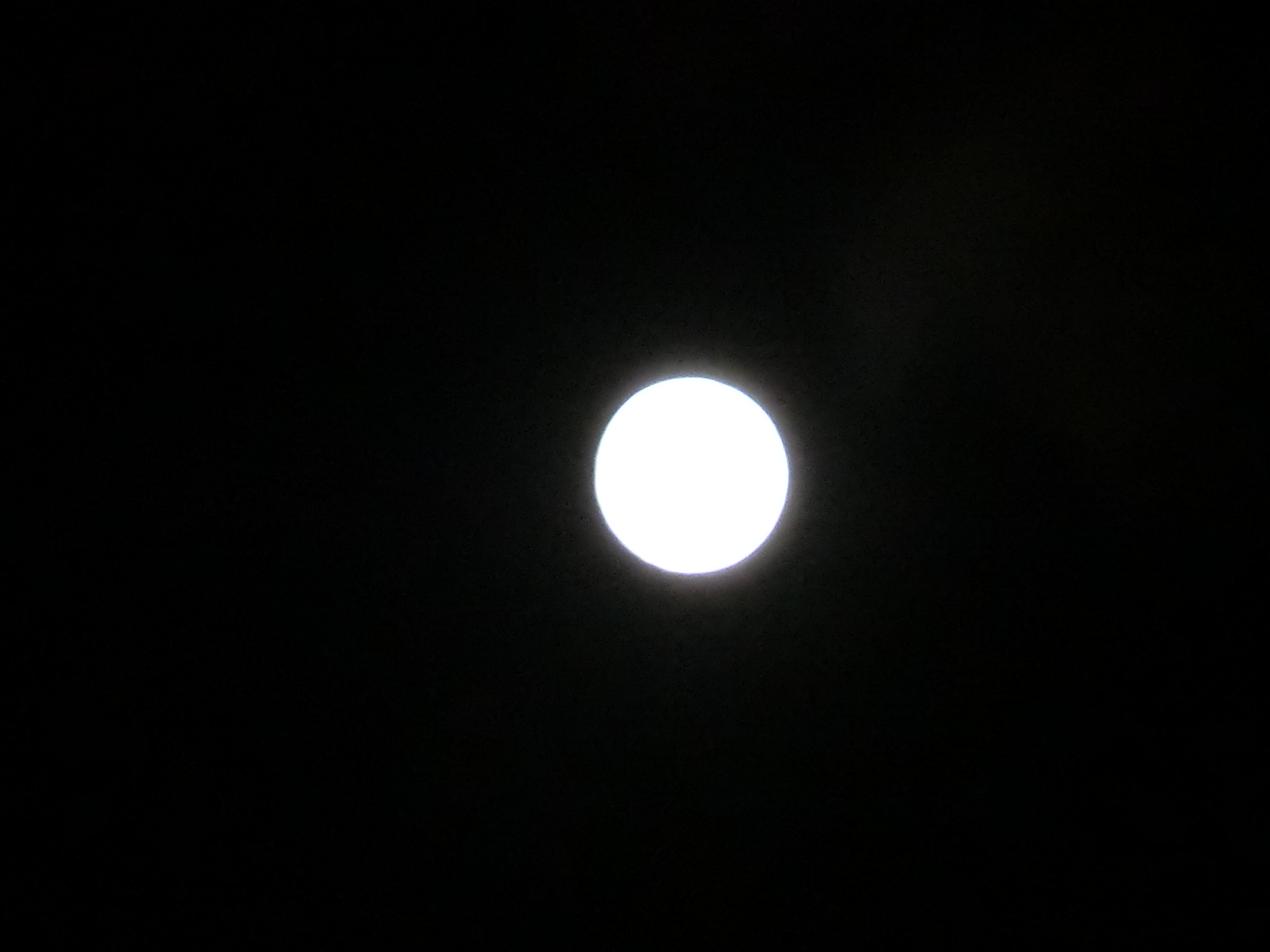 b0203588_2155014.jpg