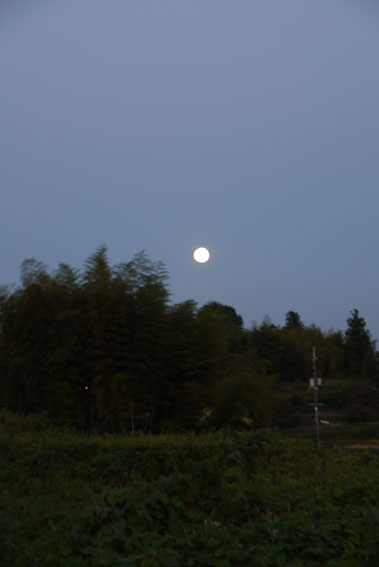 f0222692_19301878.jpg