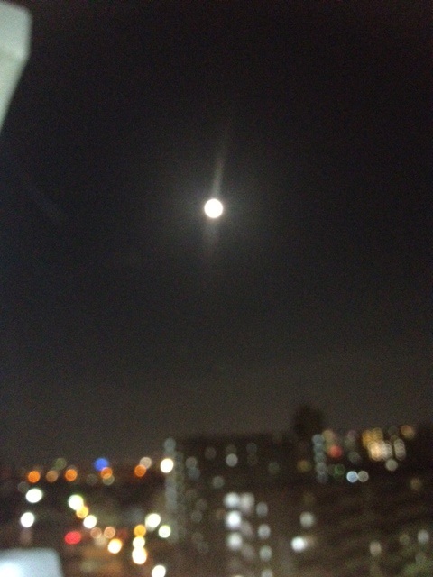 f0204295_2043498.jpg