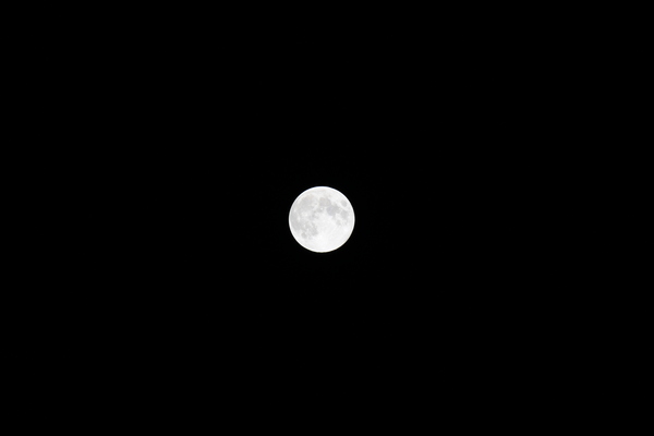 c0053096_21402710.jpg