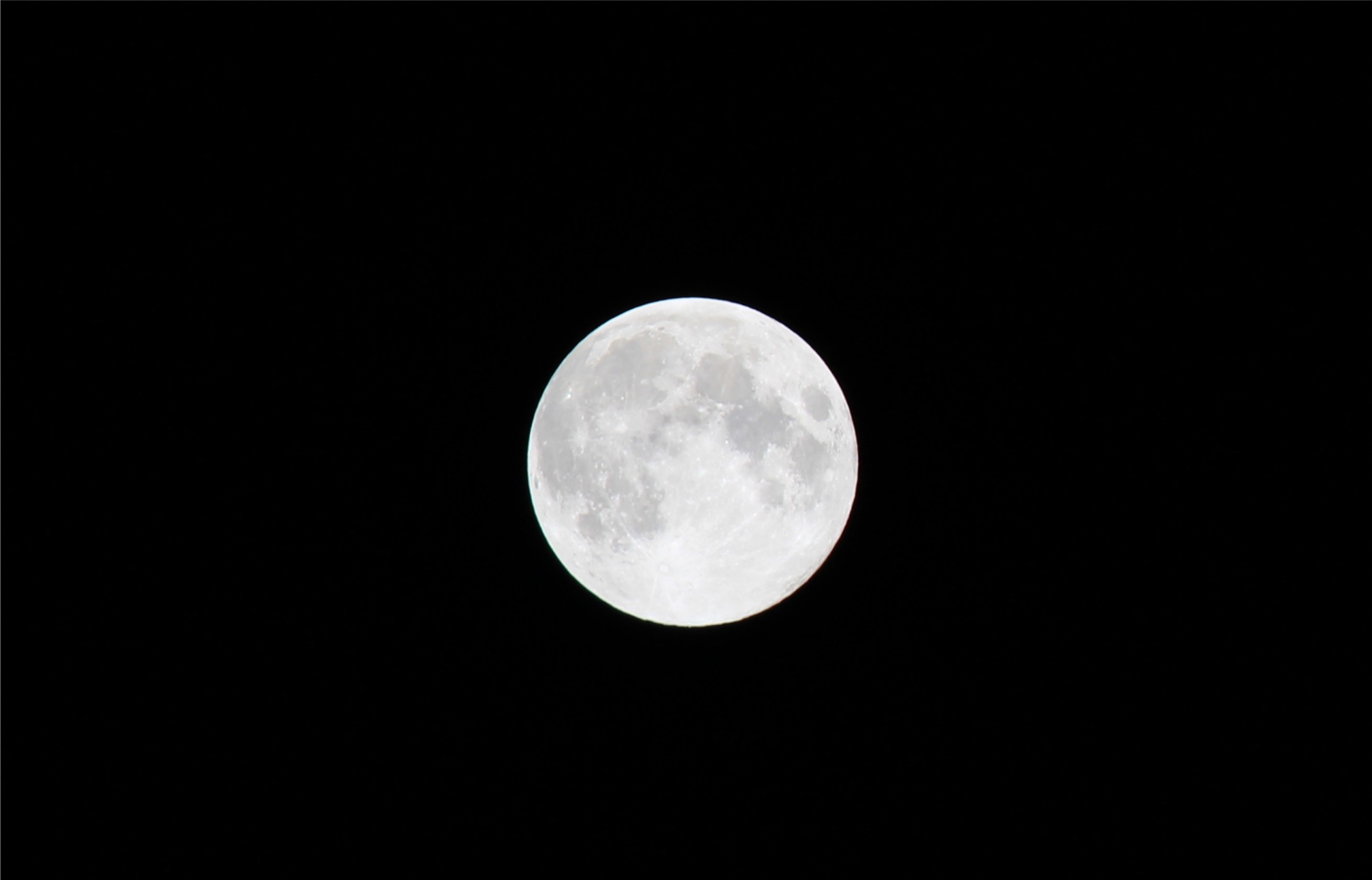 c0053096_22353273.jpg