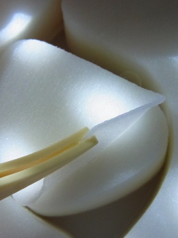 c0172698_995498.jpg