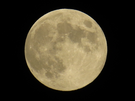 f0033598_20392933.jpg