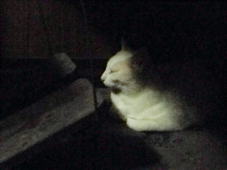 f0239100_23502254.jpg