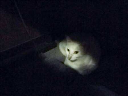 f0239100_23514558.jpg