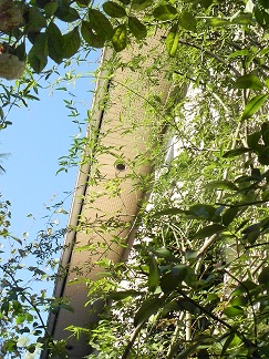c0152002_18273864.jpg