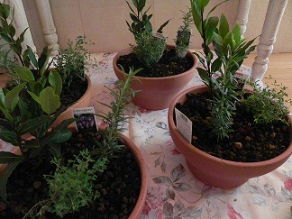 c0152002_1830192.jpg