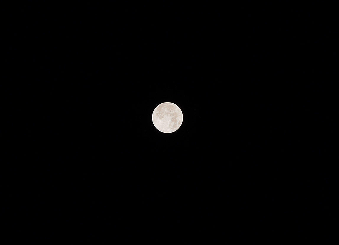b0172203_1875121.jpg