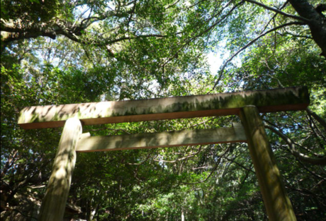 f0250403_1810026.png