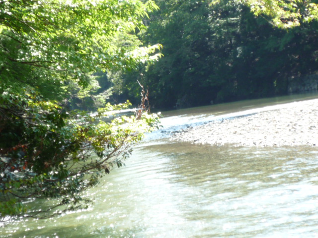 f0250403_19165646.jpg