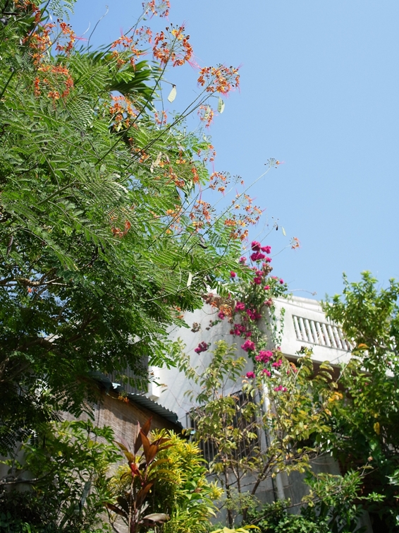 d0136804_1112135.jpg
