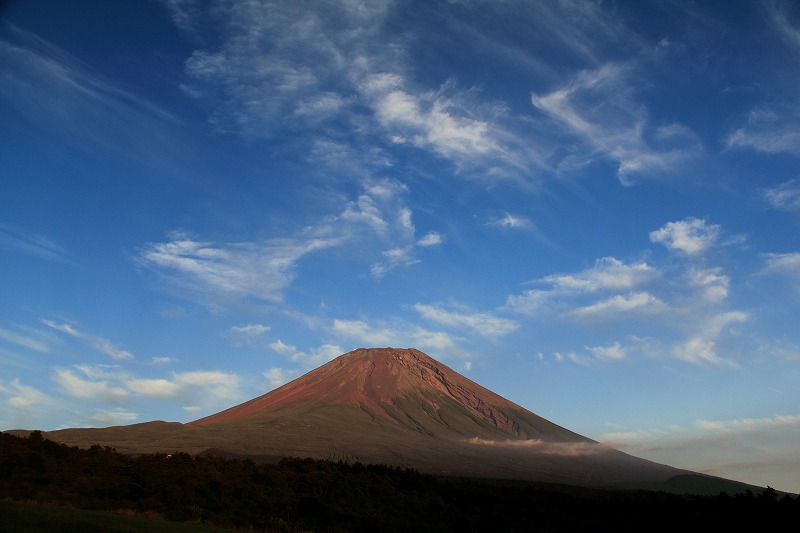 a0188405_3542950.jpg