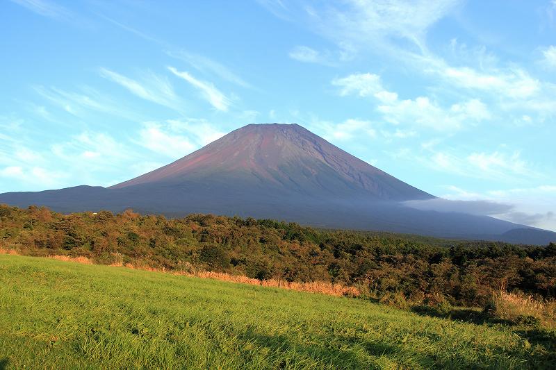 a0188405_3571685.jpg