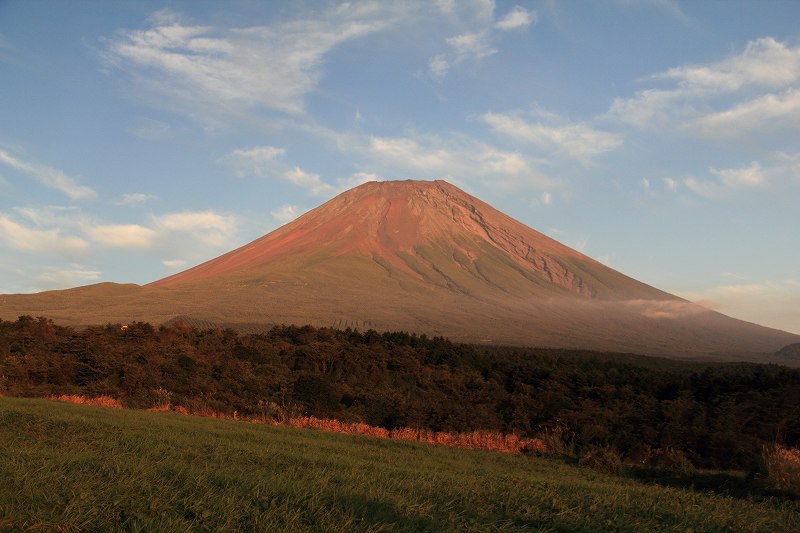 a0188405_3591120.jpg