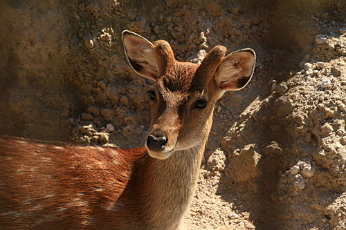 b0014607_8591485.jpg