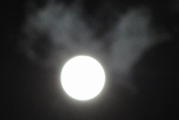 d0330311_528447.jpg