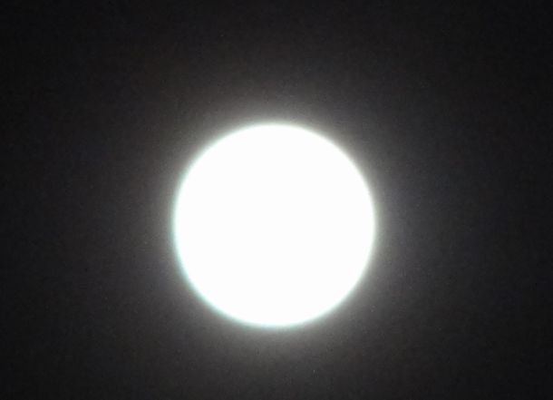 d0330311_5292358.jpg