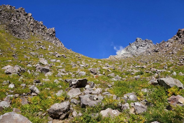 f0033314_22411331.jpg