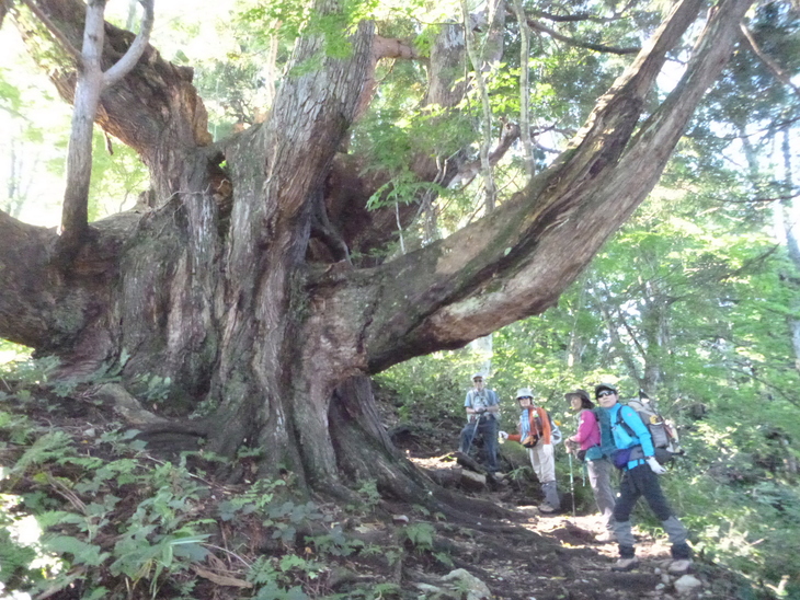 d0170615_10263977.jpg