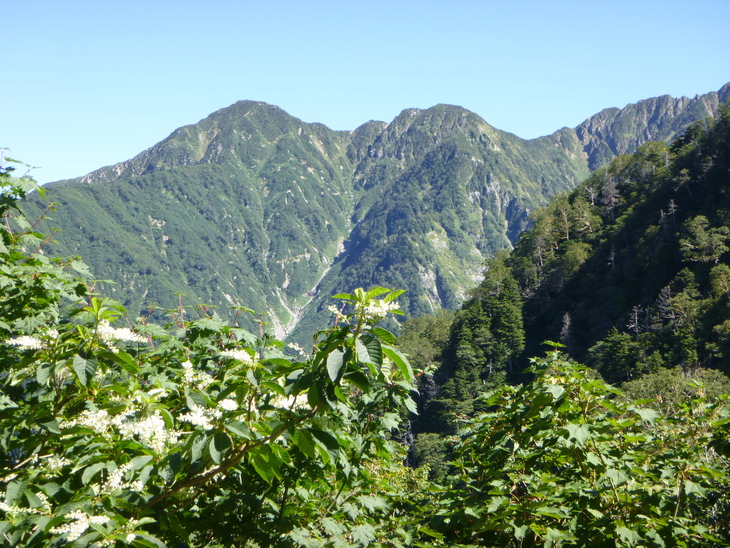d0170615_1027415.jpg