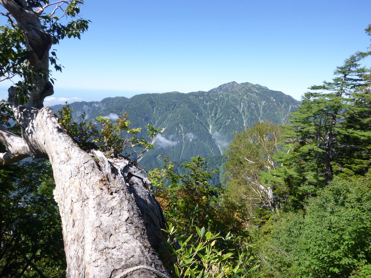 d0170615_1028081.jpg