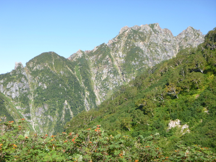 d0170615_10291326.jpg