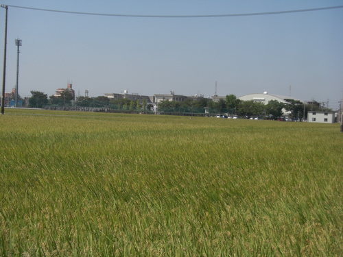 b0154116_20574067.jpg