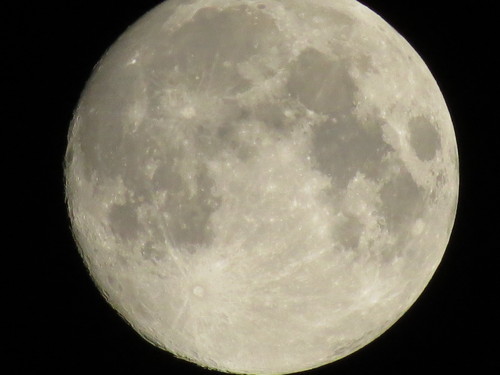 c0087023_6291926.jpg