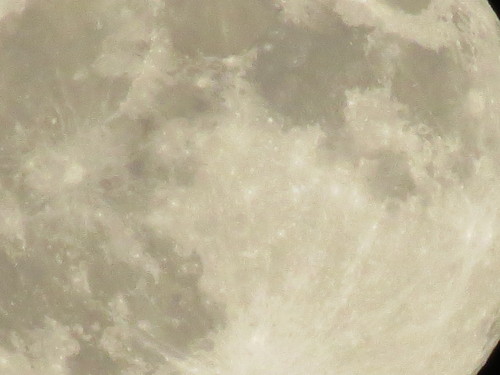c0087023_6293660.jpg