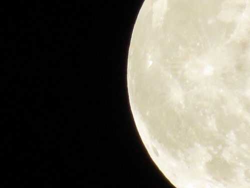 c0087023_629523.jpg