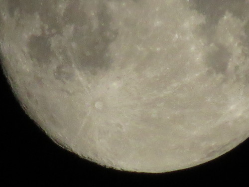 c0087023_629918.jpg