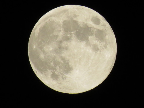 c0087023_6301863.jpg