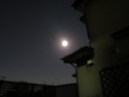c0087023_6303572.jpg