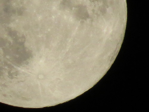 c0087023_630371.jpg