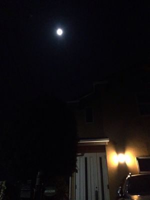 e0094325_0454520.jpg