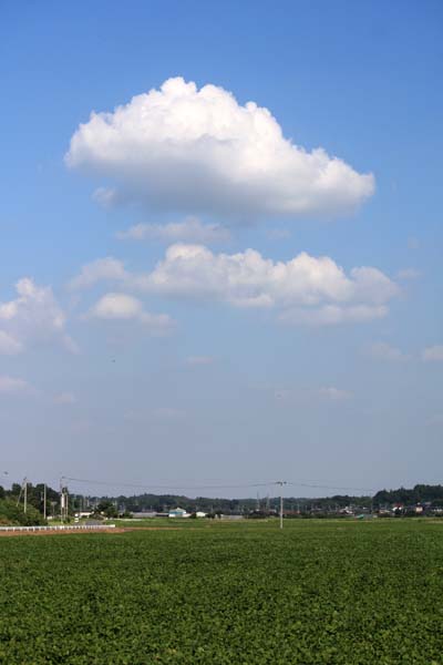 f0147025_1615094.jpg