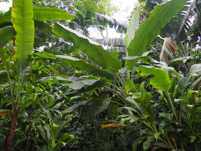 c0103830_1330249.jpg