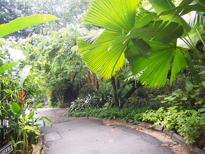 c0103830_13324832.jpg