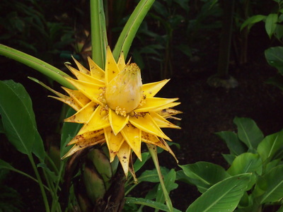 c0103830_13333959.jpg