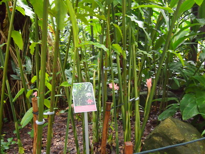 c0103830_133507.jpg