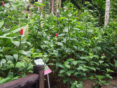 c0103830_1337030.jpg