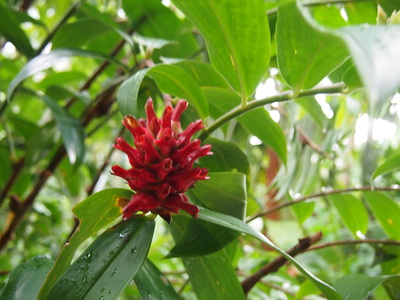 c0103830_13375485.jpg