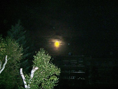 c0123031_4445491.jpg