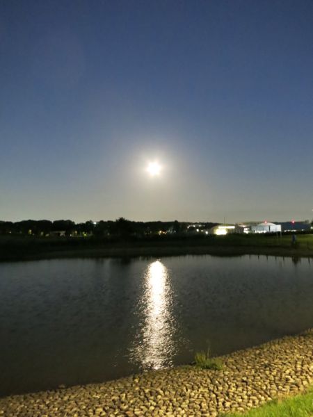 d0195731_1157793.jpg