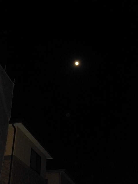 e0196135_073596.jpg