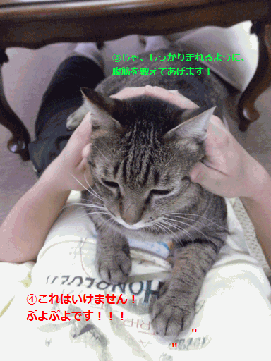 c0136736_17544230.gif